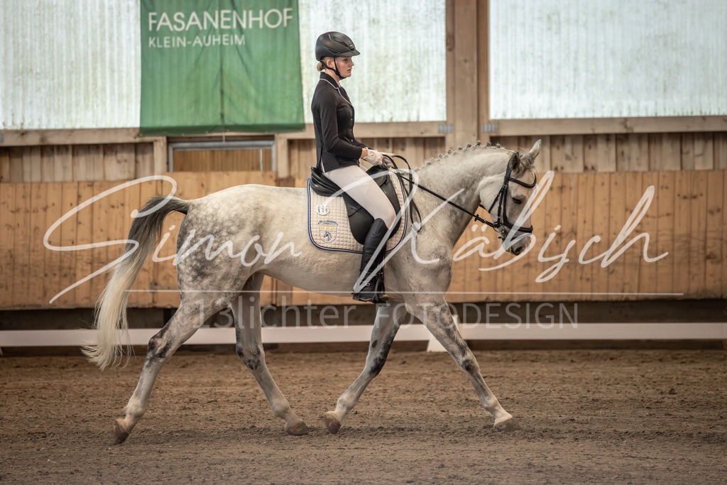 20251011-_3LI5687 | Tierfotografie Pferde, Hunde, Katzen, Haustiere.
Turnierfotografie Reitturniere, Reiten, Springreiten, Dressur in Hanau, dem Main-Kinzig-Kreis und dem Rhein-Main- Gebiet um Frankfurt