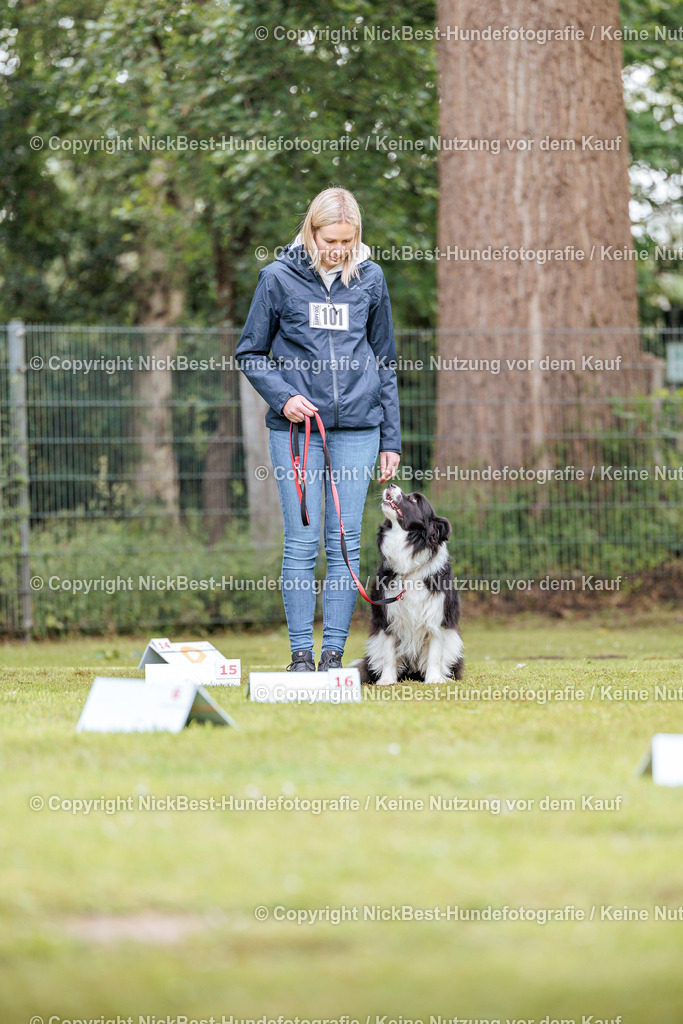 RO-Blumenthal-2026-Nickbest-Hundefotografie-5190 | Dein Hund! Dein Moment! Deine Erinnerungen! Hundefotografie in Bremen Blumenthal. Ich fange die besonderen Momente deines Vierbeiners ein – ob Indoor mit Blitzanlage oder in der freien Natur. Sicher dir dein Moment und dein Termin für eure Erinnerungen.