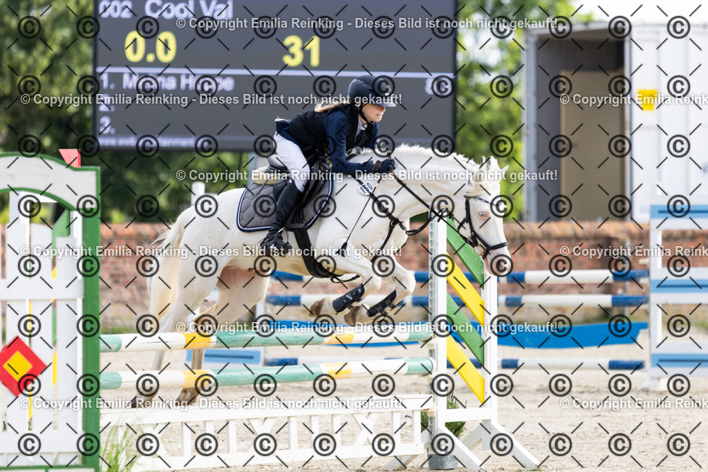 CL5A6060 | Emilia Reinking Fotografie - Realisiert mit Pictrs.com