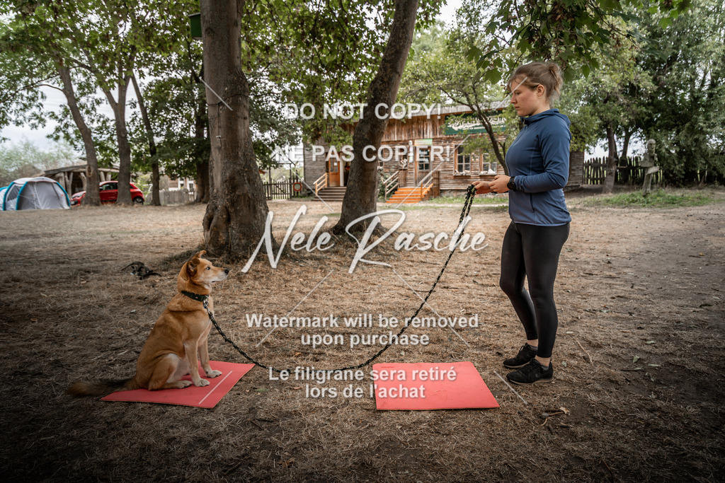nelerasche_slaw24Fr1_456 | nelerasche
