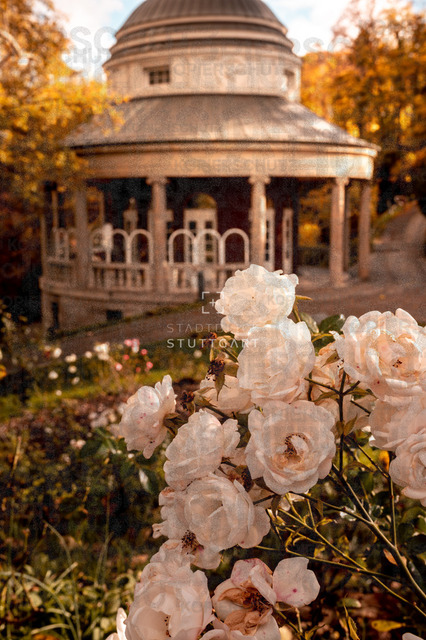 _DSC2402 | "Entdecken Sie atemberaubende Bilder von Stuttgart im Fotowerk Stuttgart! Kaufen Sie hochwertige Fotos auf Leinwand oder laden Sie digitale Downloads für Ihre Wohnung oder Büros herunter.  - Realisiert mit Pictrs.com