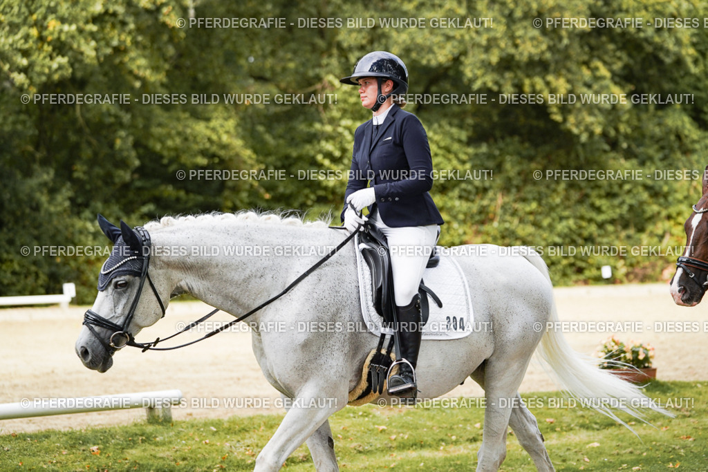 DSC02901 | Pferdegrafie