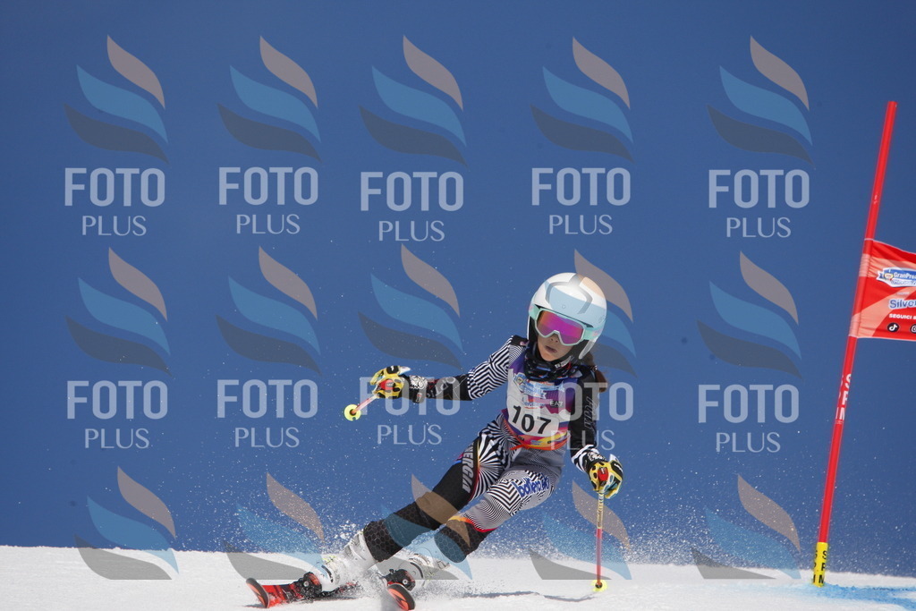 _W1G1609 | holidayphoto