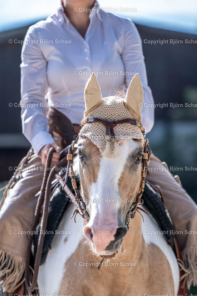 HOB09342 | BS-foto