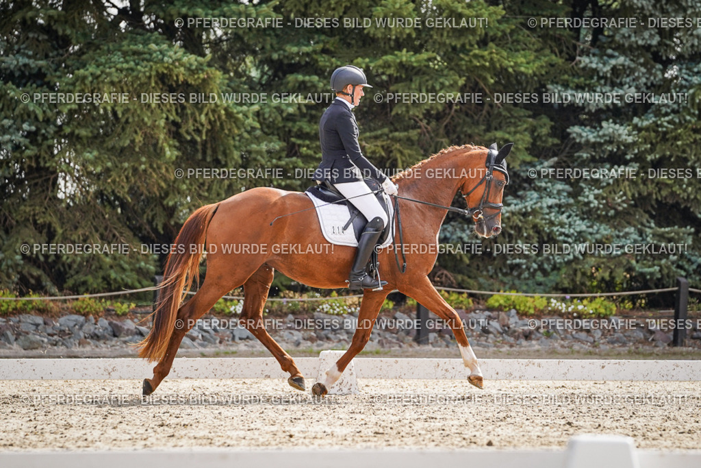 DSC07187 | Pferdegrafie