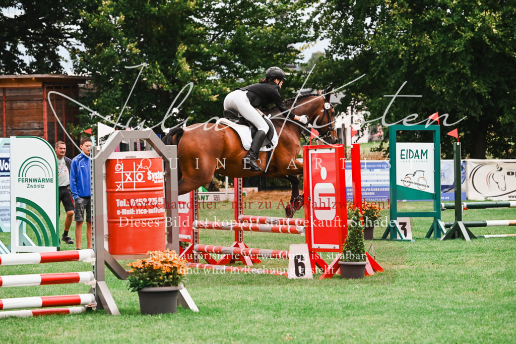 DSC_5972 | Pferde- und Turnierfotografie in Westsachsen. Pferdeportraits, Auftragszeichnungen und intuitive Kunst.