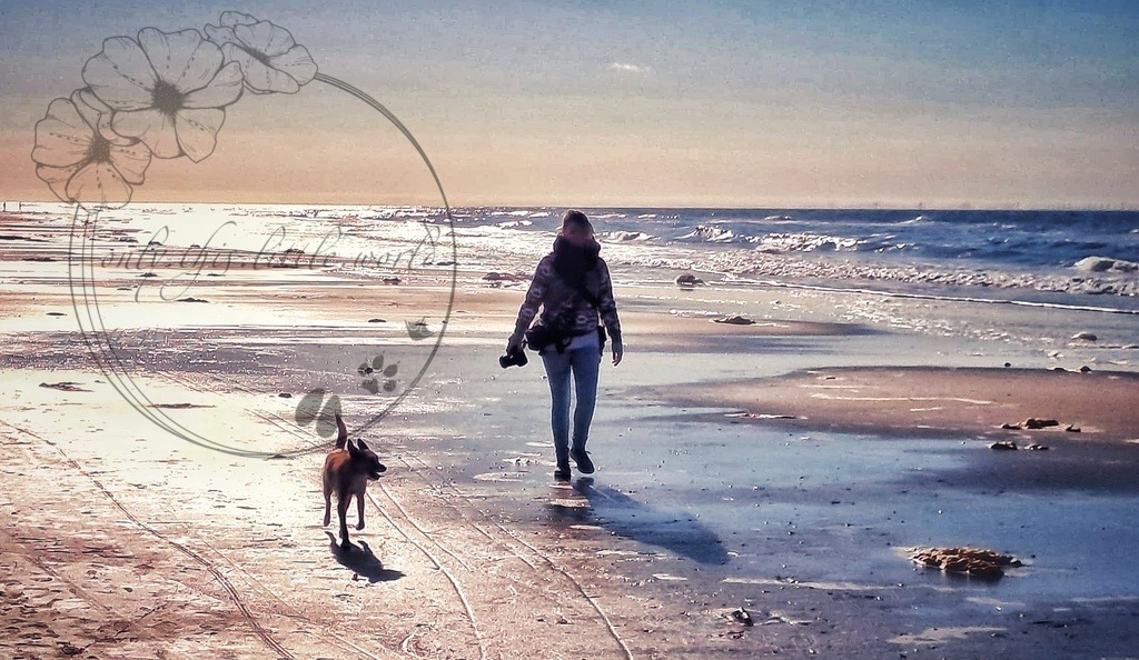 IMG-20241016-WA0008 | only.this.little.world - Realisiert mit Pictrs.com