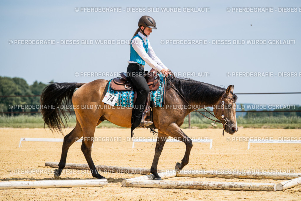 DSC01036 | Pferdegrafie