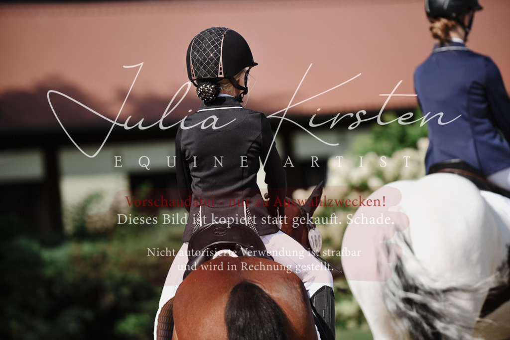 DSC_0065 | Pferde- und Turnierfotografie in Westsachsen. Pferdeportraits, Auftragszeichnungen und intuitive Kunst.