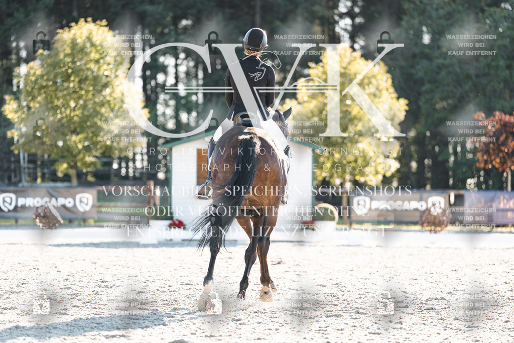 CK907135 | Turnierfotografie Pferdefotografie Trier Rheinland-Pfalz Pferdesport Reitsport Tierfotografie Sportfotografie Pferdevideo Pferdevideografie Equestrianvideography equestrianphotography  - Realisiert mit Pictrs.com
