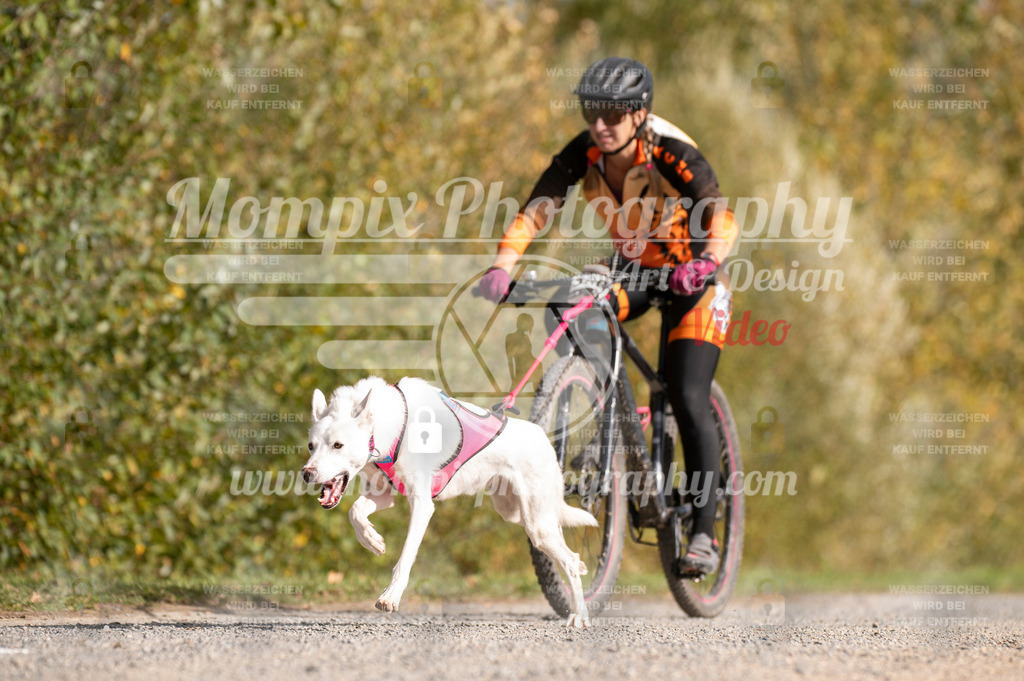 TSB_2023_E2_Bike-3 | PayLife