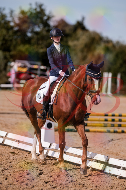 2026_10_03_Siefer-Hof_132738_Z81_82470388 | Professionelle Reitsport-, Turnier- und Eventfotografie von Robert Broda. Galerien mit ausgewählten und bearbeiteten Bildern direkt online ansehen und bestellen.