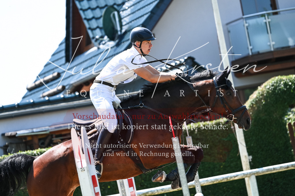 DSC_0385 | Pferde- und Turnierfotografie in Westsachsen. Pferdeportraits, Auftragszeichnungen und intuitive Kunst.