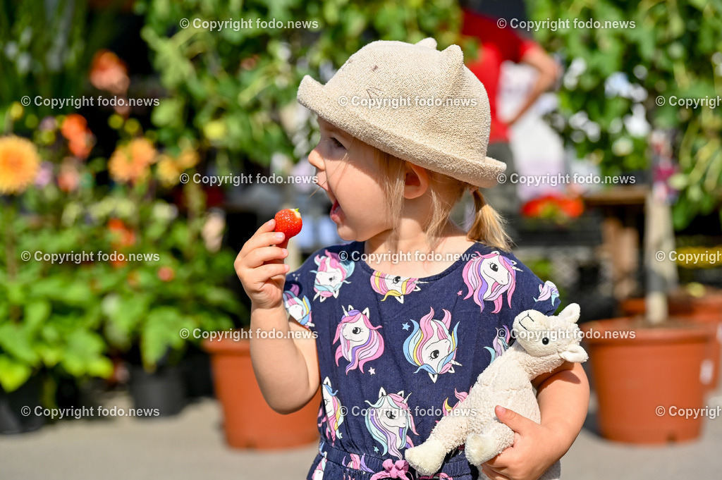 Markt Suedbahnhofmarkt_ 08.07.2023-13 | 08.07.2023, Linz, AUT, Linzer Genussmaerkte, im Bild Markt Suedbahnhofmarkt

Mathilda (2, Linz) beim Erdbeeren essen am Markt