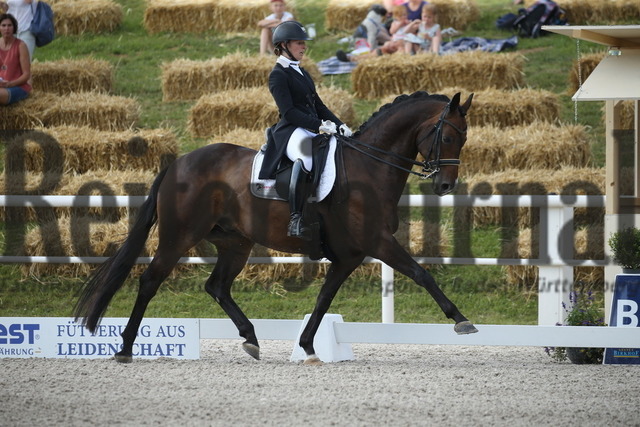 Birkhof_2022_GrandPrixSpecial_Nicole Isser_DiCaprio 4 (6) | Alle Fotos der Reiterjournal Fotografin Doris Matthaes im Reiterjournal Online-Fotoshop. - Realisiert mit Pictrs.com