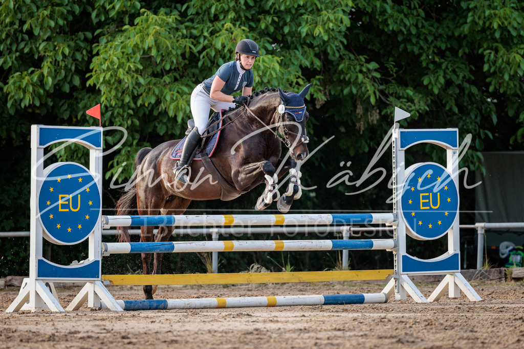 20260529-_3LI1637 | Tierfotografie Pferde, Hunde, Katzen, Haustiere.
Turnierfotografie Reitturniere, Reiten, Springreiten, Dressur in Hanau, dem Main-Kinzig-Kreis und dem Rhein-Main- Gebiet um Frankfurt