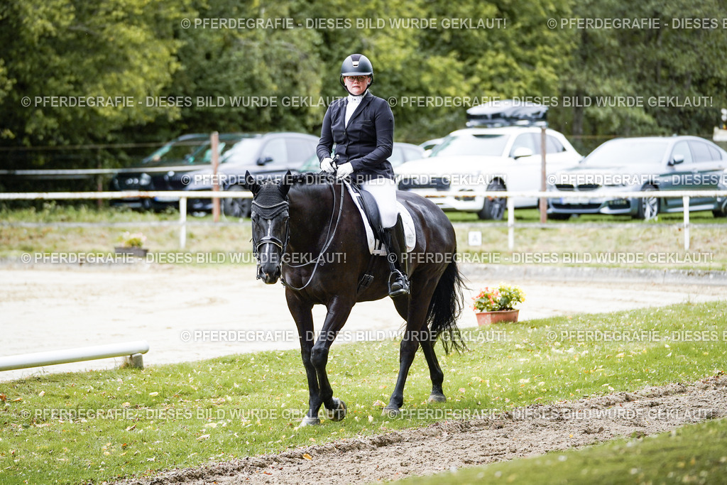 DSC09493 | Pferdegrafie