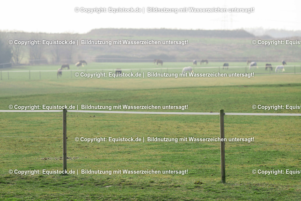 _TPD0958 | equistock