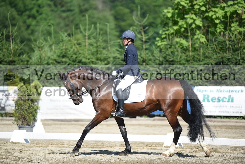 DSC_7773 | equestrian-live-com