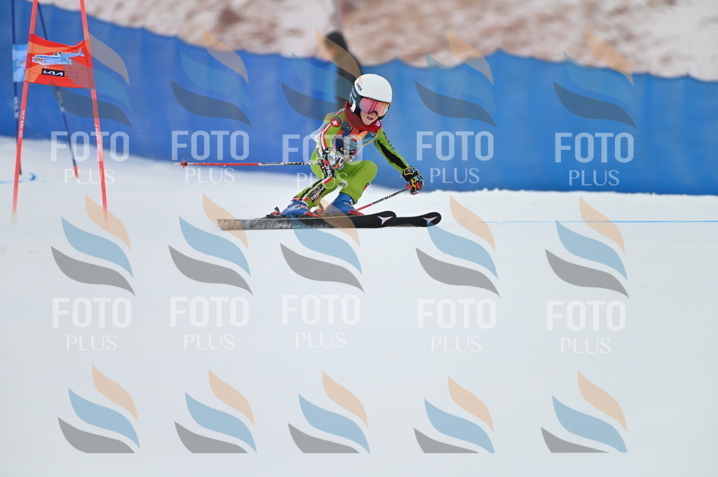 BGV_9333 | holidayphoto