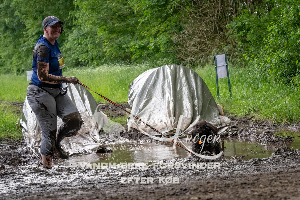1508_ZZ91971-Bearbeitet | kk-dogfotos