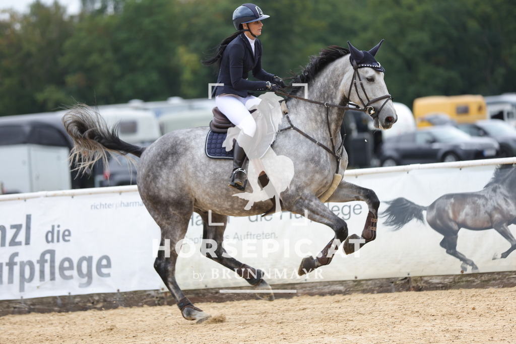 0P6A7848 | Willkommen bei Brunnmayr - Design & Fotografie – Ihrem Spezialisten für Reitturniere und Pferdeveranstaltungen in Oberösterreich, Salzburg und Bayern! Seit über 17 Jahren sind wir leidenschaftlich dabei.