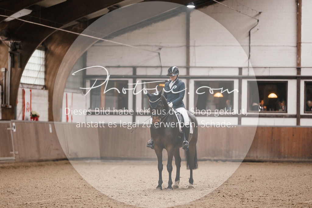 3I6A8280 | Stimmungsvolle Portraits und Reitsportfotografie im Ruhrgebiet und im Münsterland.

Pferdefotografie, Hundefotografie, Tierfotografie, Reportagen, Portraits von Tier und Mensch, Turnierfotografie in Bochum, Recklinghausen, Marl, Haltern am See, Dülmen.. - Realisiert mit Pictrs.com