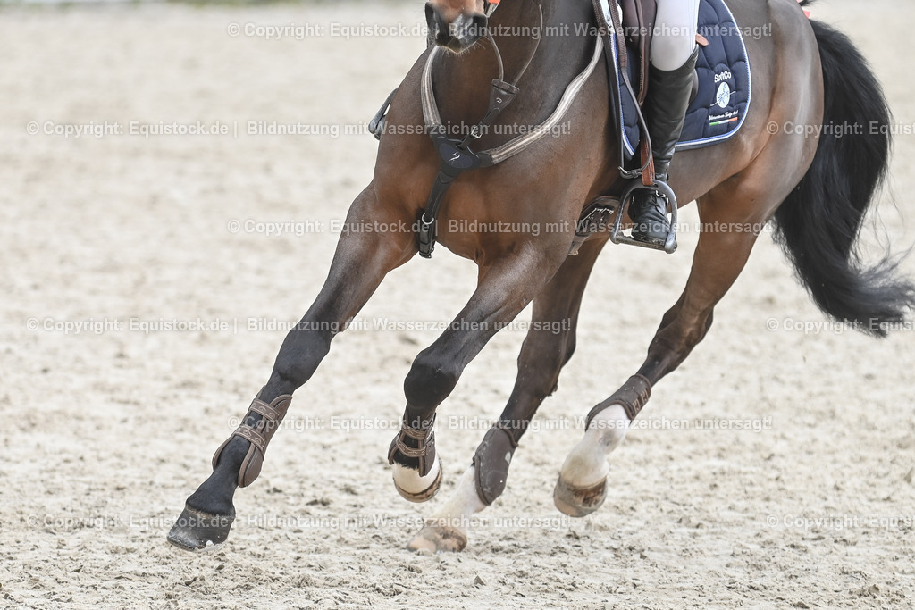 20230514_CCI4_Springen_0111 | equistock
