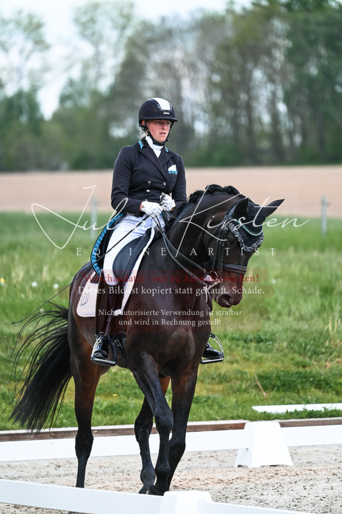 20230514_JK-Röhrsdorf-20-063 | Pferde- und Turnierfotografie in Westsachsen. Pferdeportraits, Auftragszeichnungen und intuitive Kunst.