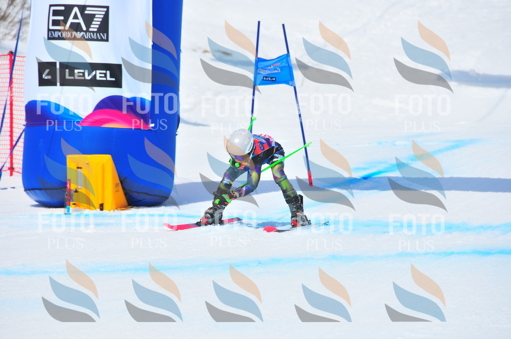 DSC_6816 | holidayphoto