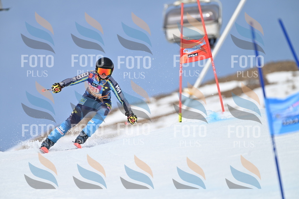 BGV_3109 | holidayphoto