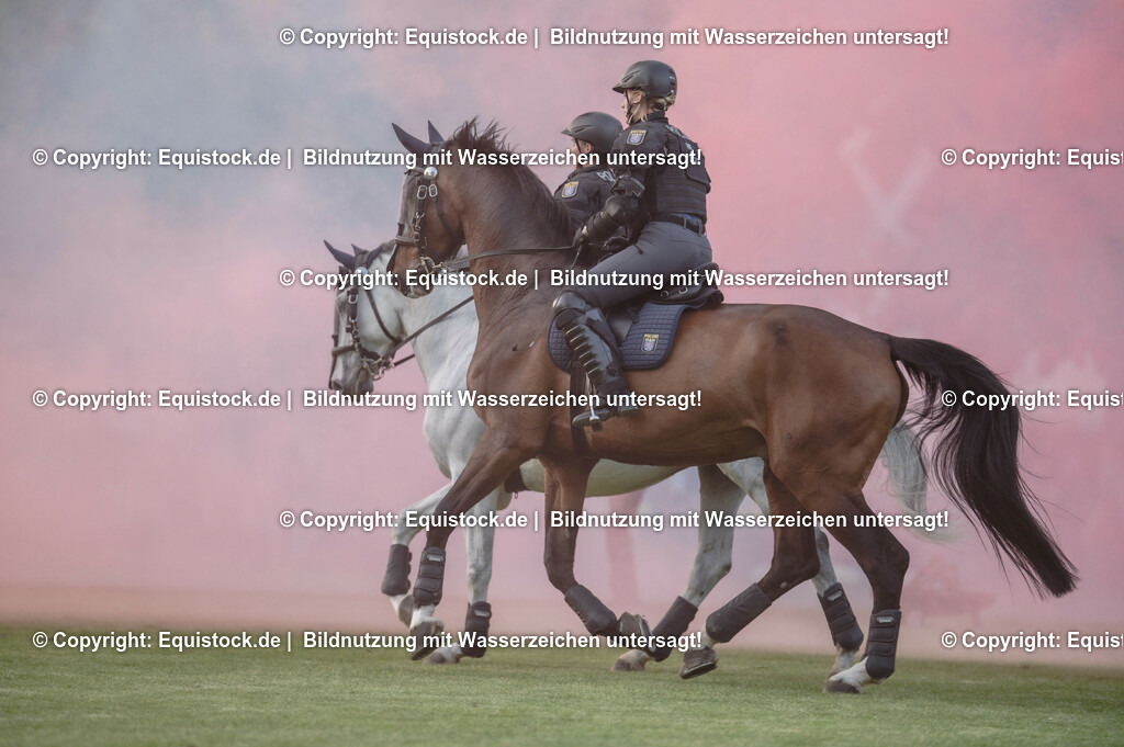 20230526_Pferdenacht_0397 | equistock