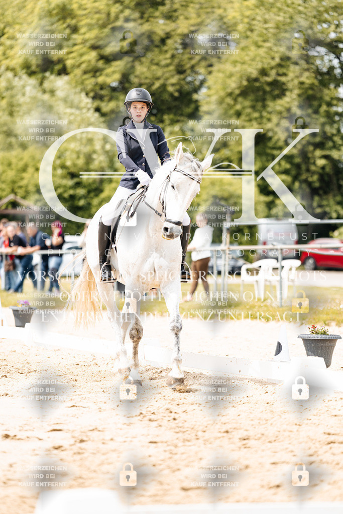 CK902168 | Turnierfotografie Pferdefotografie Trier Rheinland-Pfalz Pferdesport Reitsport Tierfotografie Sportfotografie Pferdevideo Pferdevideografie Equestrianvideography equestrianphotography  - Realisiert mit Pictrs.com