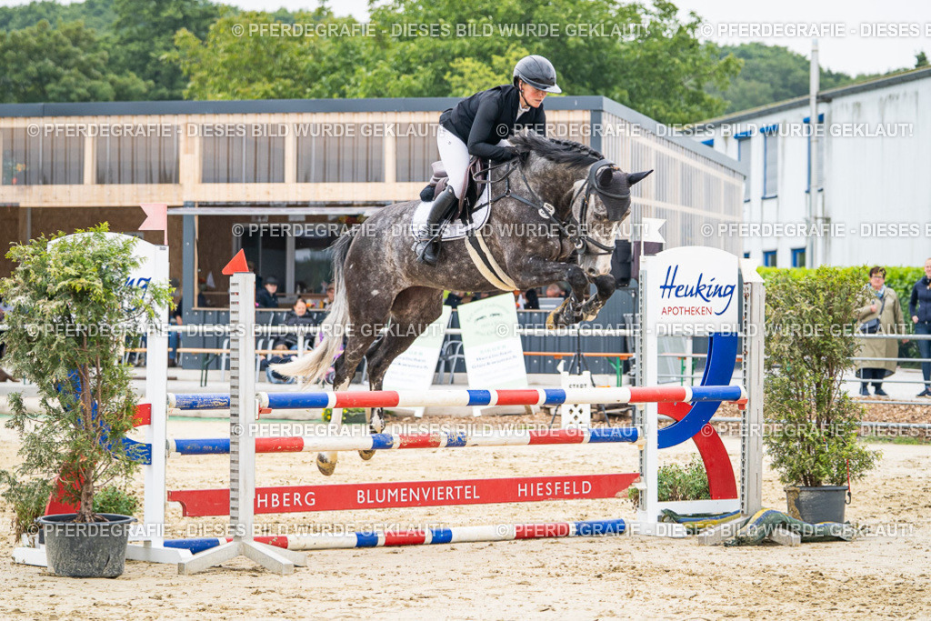 DSC00201 | Pferdegrafie