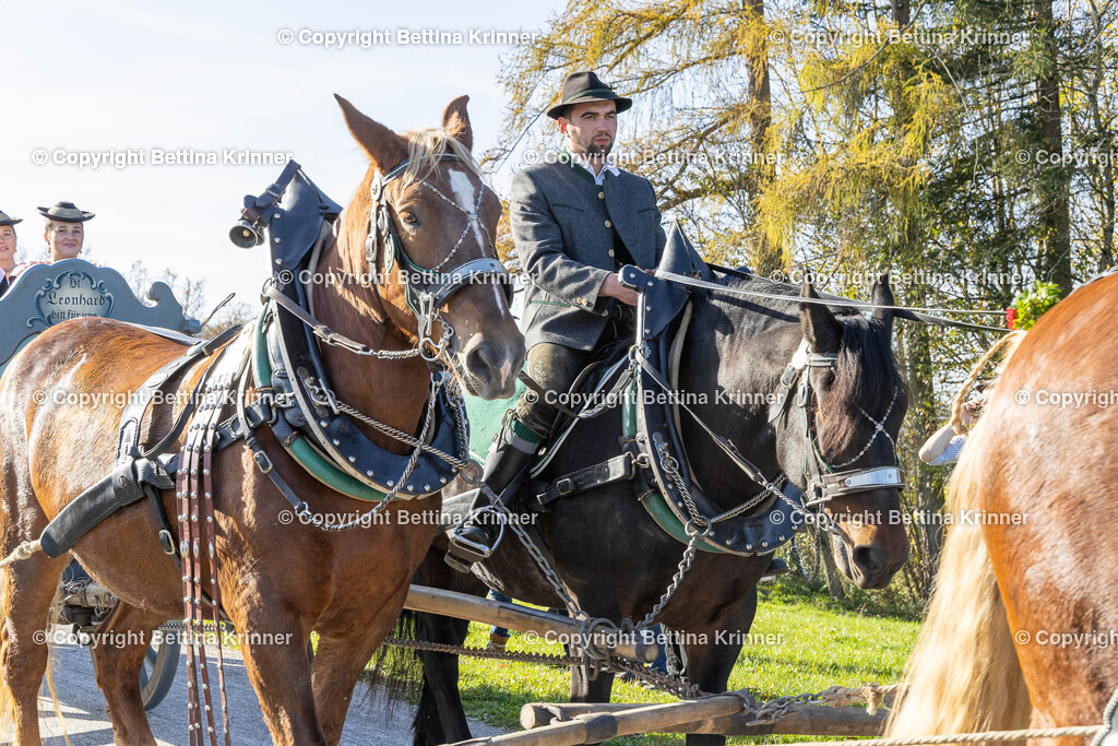 LBT24-1611 | foto-bettina-krinner - Realisiert mit Pictrs.com