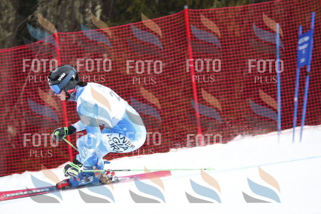 D4881 | holidayphoto