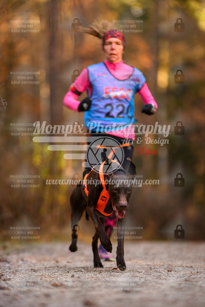 MompixPhotography_DM_AKDM_SO_2025_-29 | PayLife