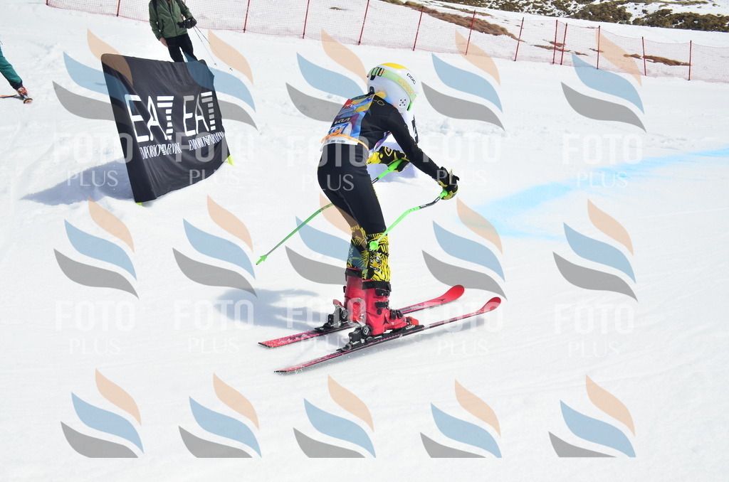 _ELE1827 | holidayphoto