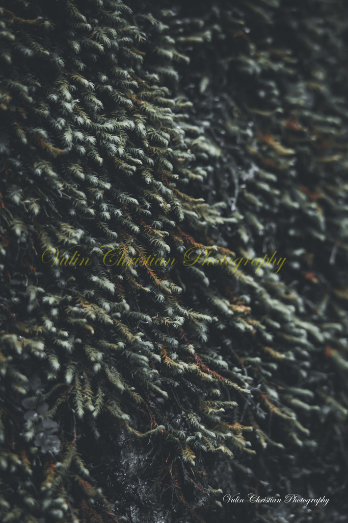 JBK 6 | Christian Vulin  - Realisiert mit Pictrs.com