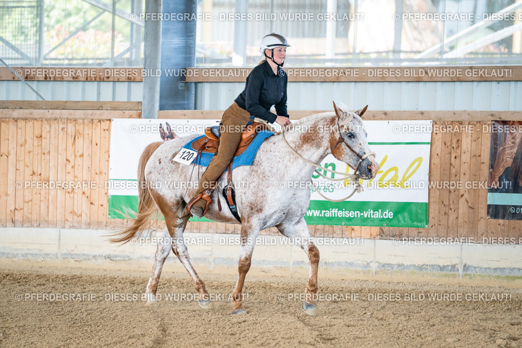 DSC01884 | Pferdegrafie