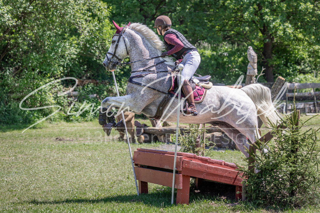 20260523-_3LI8743 | Tierfotografie Pferde, Hunde, Katzen, Haustiere.
Turnierfotografie Reitturniere, Reiten, Springreiten, Dressur in Hanau, dem Main-Kinzig-Kreis und dem Rhein-Main- Gebiet um Frankfurt