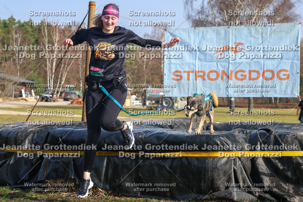 Dog Paparazzi - Strongdog North Mrz26-2556 | Dog Paparazzi Jeanette Grottendiek Fotografie & Videografie - Realisiert mit Pictrs.com