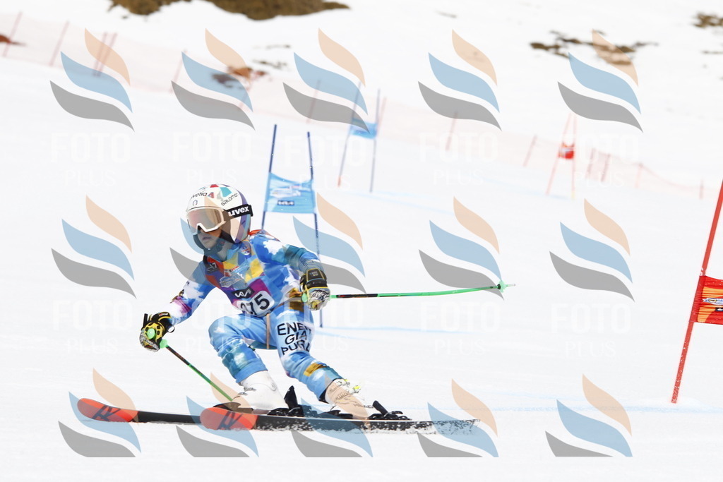 _U3G6902 | holidayphoto