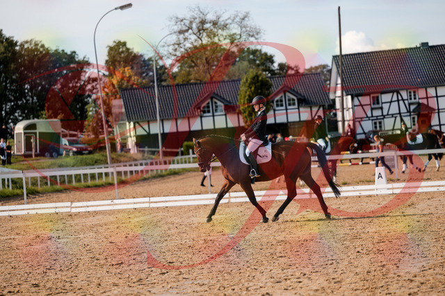 2026_10_03_Siefer-Hof_131022_Z63_72749530 | Professionelle Reitsport-, Turnier- und Eventfotografie von Robert Broda. Galerien mit ausgewählten und bearbeiteten Bildern direkt online ansehen und bestellen.