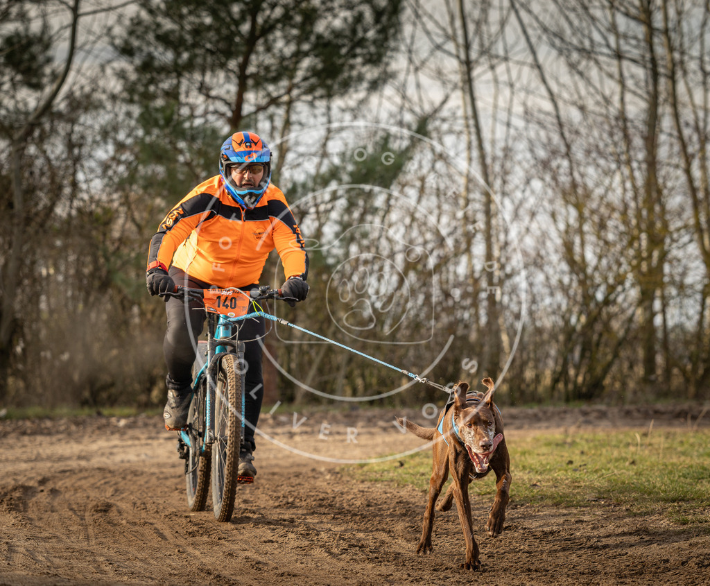 Pfotenfotografie_DV3A8610 | Hundefotografie, Tierfotograf, Pfotenfotografie, Fotoshooting Hund, Hunde Portrait, Hundesport, Hundeportraits, Heideshooting, Hunde, Sportfotograf, Hundefotograf, Turnierhundsport, THS,  - Realisiert mit Pictrs.com