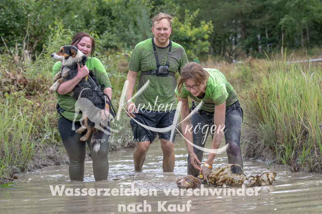 1211_ZZ97220 | kk-dogfotos