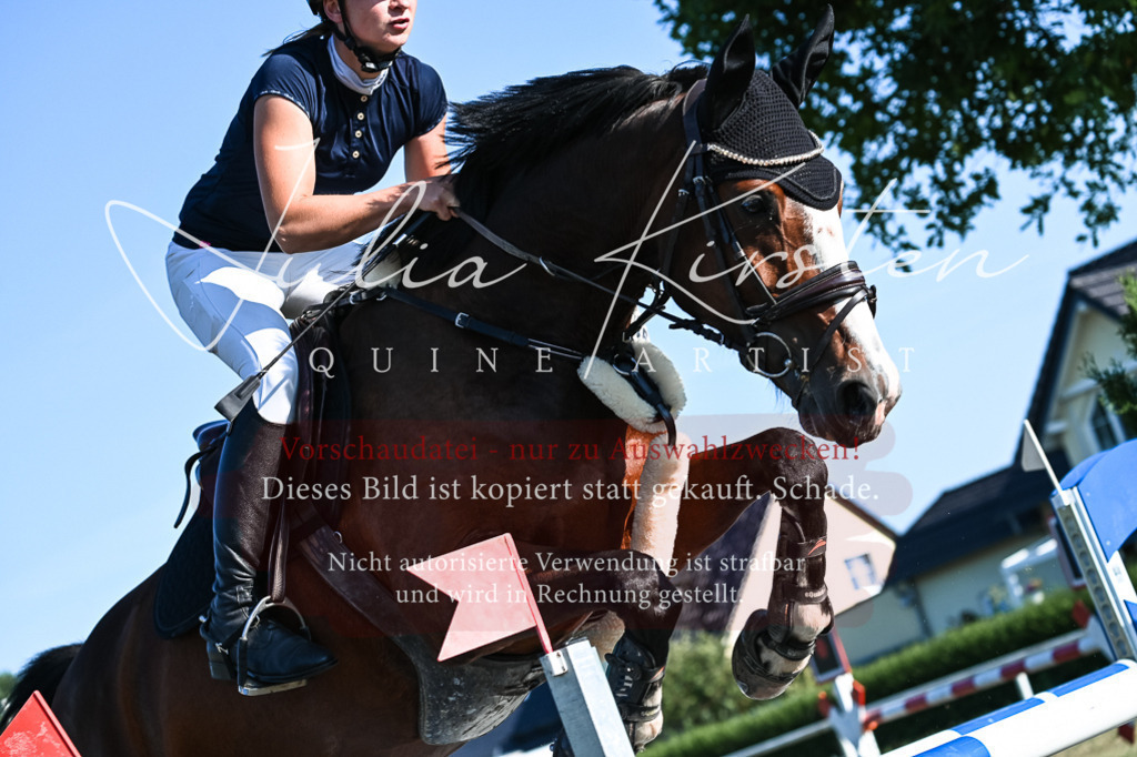 DSC_2900 | Pferde- und Turnierfotografie in Westsachsen. Pferdeportraits, Auftragszeichnungen und intuitive Kunst.