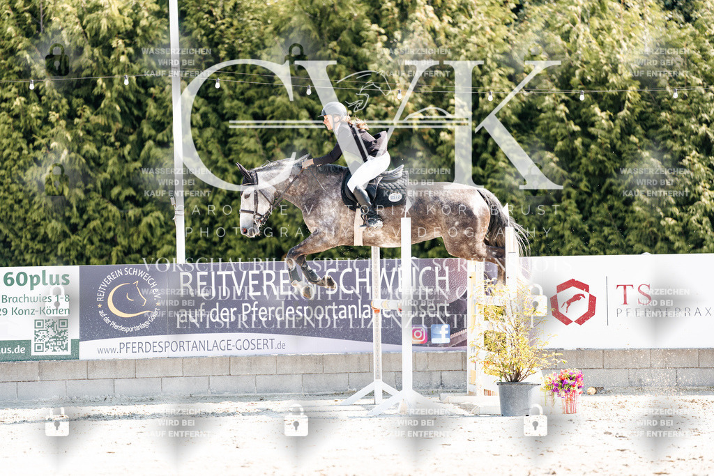 CK902583 | Turnierfotografie Pferdefotografie Trier Rheinland-Pfalz Pferdesport Reitsport Tierfotografie Sportfotografie Pferdevideo Pferdevideografie Equestrianvideography equestrianphotography  - Realisiert mit Pictrs.com