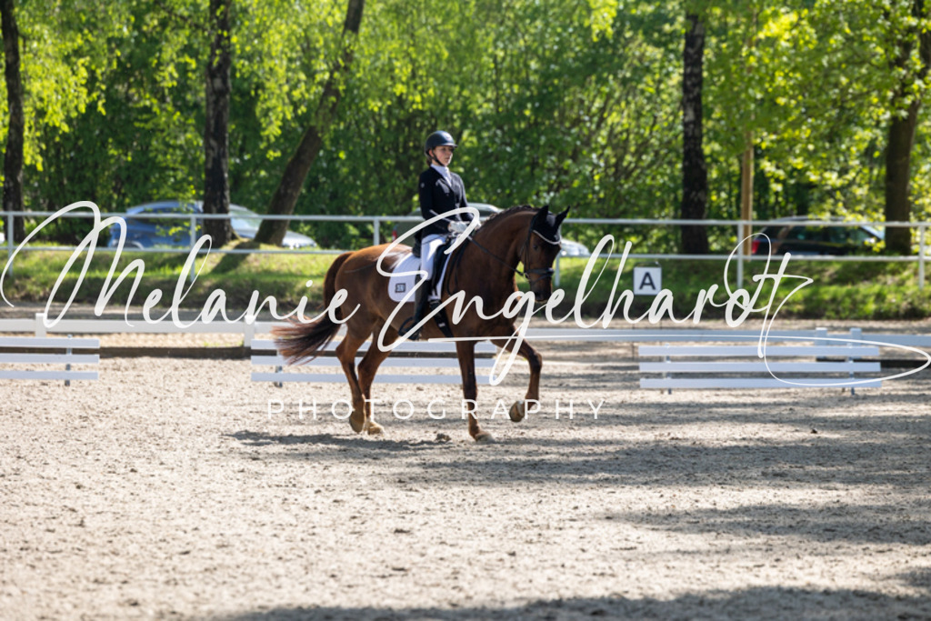 7I8A2628 | melanie-engelhardt-photography - Realisiert mit Pictrs.com