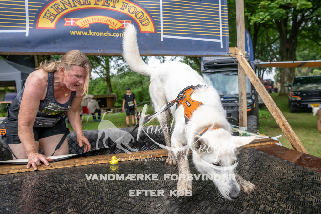 1017_ZZ90479 | kk-dogfotos